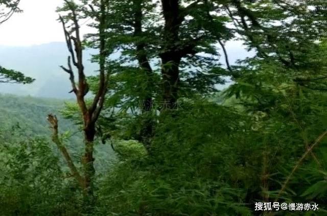 【健康欢乐过大年】春节饮食指南，“炫”出好滋味